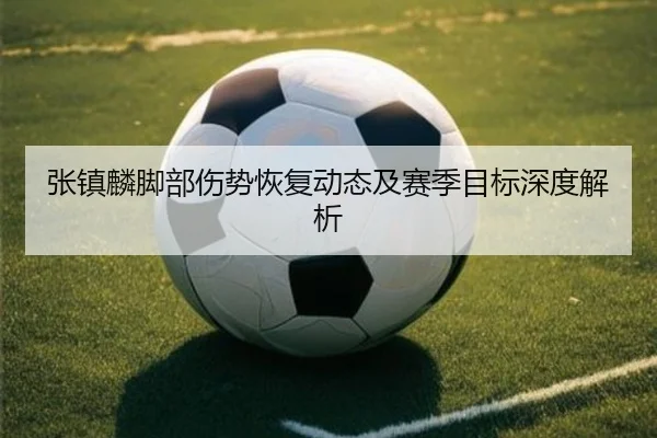 张镇麟脚部伤势恢复动态及赛季目标深度解析
